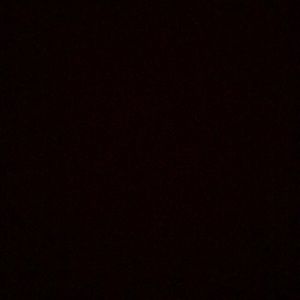 Meet your Posher, Alan